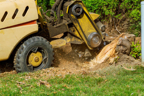 Lawn Drainage Solutions in Kotzebue, AK
